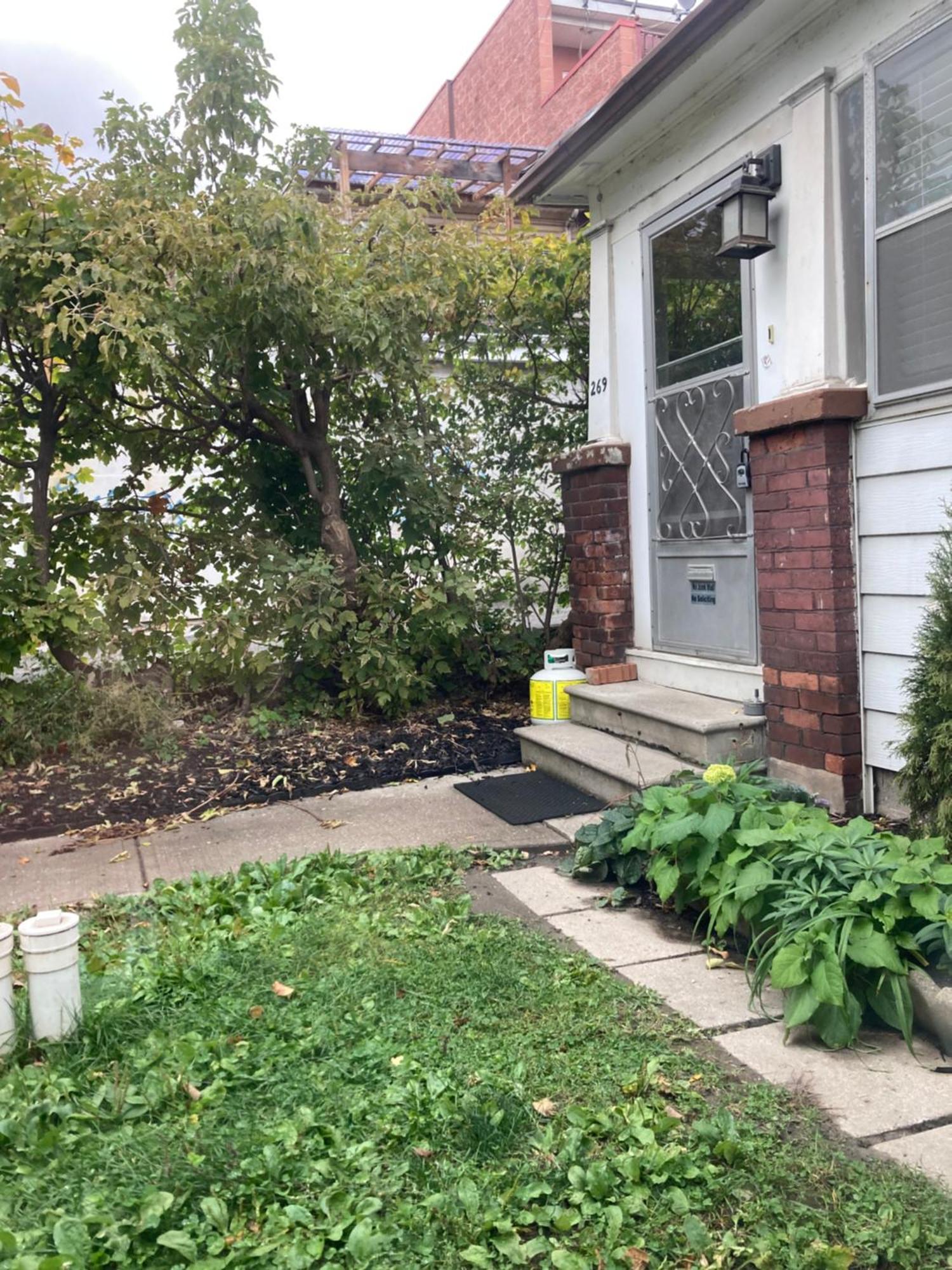 Lovely Leslieville, Exploring Nature In The City Toronto Exterior photo